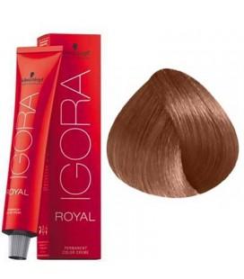 Schwarzkopf Permanent Color  - Igora Royal #7-57 Medium Blonde Gold Cooper - Jessica Nail & Beauty Supply - Canada Nail Beauty Supply - hair colour