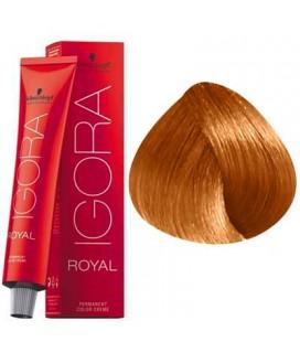 Schwarzkopf Permanent Color  - Igora Royal #9-7 Extra Light Blonde Copper 60g - Jessica Nail & Beauty Supply - Canada Nail Beauty Supply - hair colour