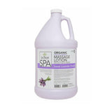 La Palm Healing Therapy Massage Lotion