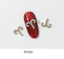 JNBS Zodiac Symbol Metal Charm