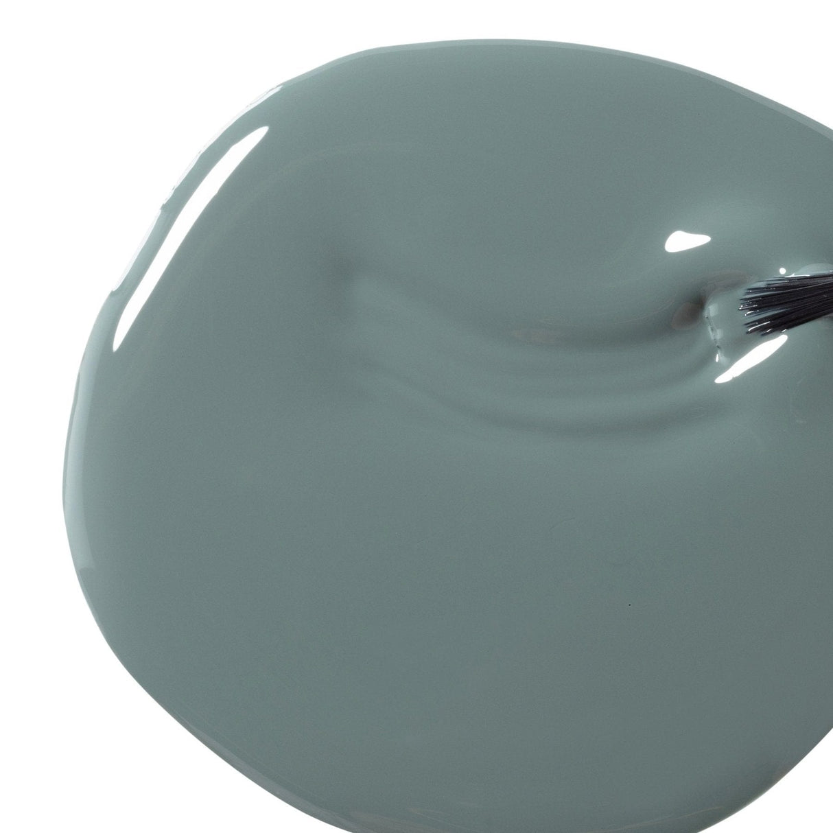 Bio Seaweed Gel Fall 2021 Collection Living Lush