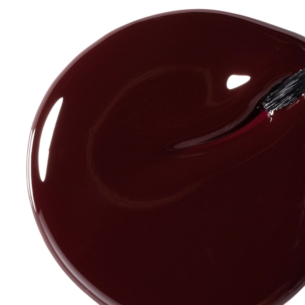Bio Seaweed Gel Fall 2021 Collection Living Lush